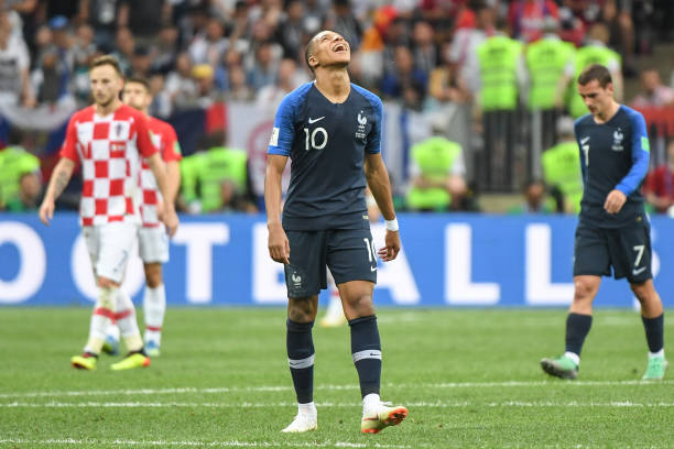 不仅可以提 不仅可以提